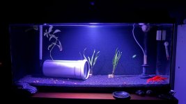 WhatsApp Image 2026-04-26 at 23.53.26 (3).jpeg