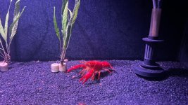 WhatsApp Image 2026-04-26 at 23.53.26 (1).jpeg