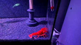 WhatsApp Image 2026-04-26 at 23.53.26 (2).jpeg