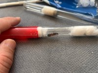 WhatsApp Image 2026-04-27 at 18.28.43 (1).jpeg