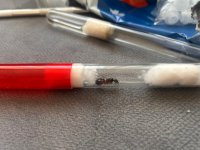 WhatsApp Image 2026-04-27 at 18.28.43.jpeg