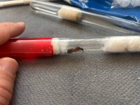 WhatsApp Image 2026-04-27 at 18.28.42 (1).jpeg