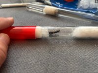 WhatsApp Image 2026-04-27 at 18.28.42.jpeg