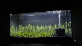 WhatsApp Image 2026-04-24 at 23.46.51 (1).jpeg