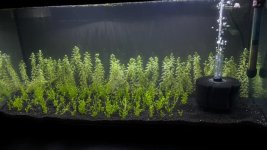 WhatsApp Image 2026-04-24 at 23.46.51.jpeg