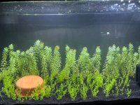 WhatsApp Image 2026-04-27 at 20.48.28 (1).jpeg