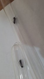 WhatsApp Image 2026-04-28 at 16.02.39.jpeg