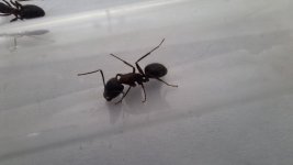 WhatsApp Image 2026-04-28 at 16.02.38.jpeg