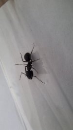 WhatsApp Image 2026-04-28 at 16.02.38 (1).jpeg