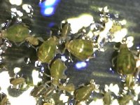 WhatsApp Image 2026-04-30 at 11.26.00 (1).jpeg