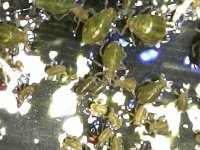 WhatsApp Image 2026-04-30 at 11.26.00.jpeg