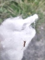 IMG_20260430_181642_1.jpg
