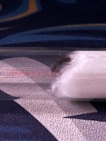 IMG_6995.jpeg
