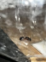 IMG_9754.jpeg