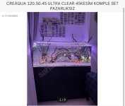 IMG_1047.jpeg