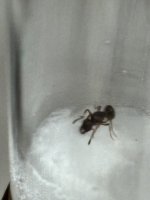 IMG_1003.jpeg