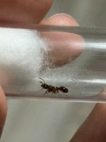 IMG_1012.jpeg