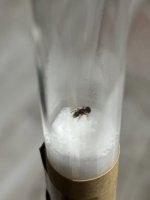 IMG_1001.jpeg