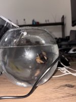 IMG_3409.jpeg