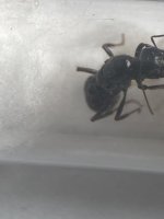 IMG_3410.jpeg