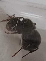 20260506_165038.jpg