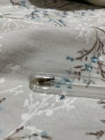 IMG_2903.jpeg