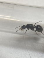 IMG_3422.jpeg