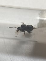 IMG_3421.jpeg