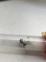 IMG_3420.jpeg