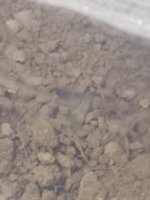 IMG_20260508_002854.jpg