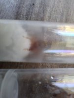 20260508_164617.jpg