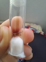 20260508_173444.jpg