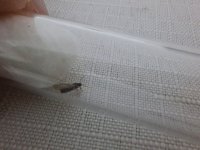 IMG-20260508-WA0018.jpg