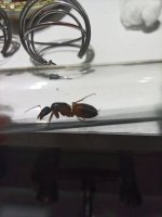 IMG_20260508_210717.jpg