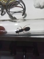 IMG_20260508_210713.jpg