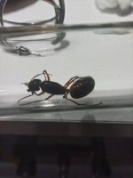 IMG_20260508_210659.jpg