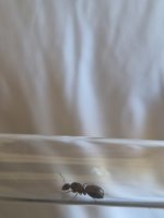 47E47A01-A24F-49F9-A0AC-BB5F528DD2C8.jpeg