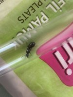 IMG_0009.jpeg