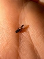IMG_5990.jpeg