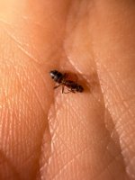 IMG_5991.jpeg