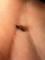 IMG_5992.jpeg