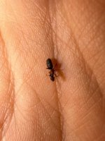 IMG_5993.jpeg