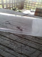 20260509_153521.jpg