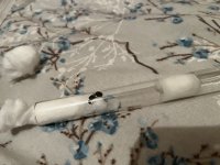IMG_1950.jpeg