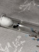 IMG_1942.jpeg