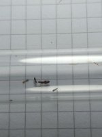 IMG_20260510_183303.jpg