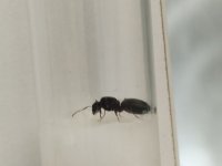IMG_20260511_154339.jpg