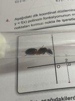 IMG_4755.jpeg