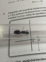 IMG_4756.jpeg
