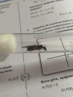 IMG_4757.jpeg